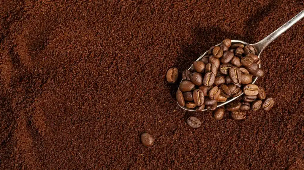 coffee powder, beans in a spoon