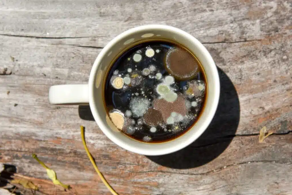 mold in cup of coffee, placed on a wooden surface