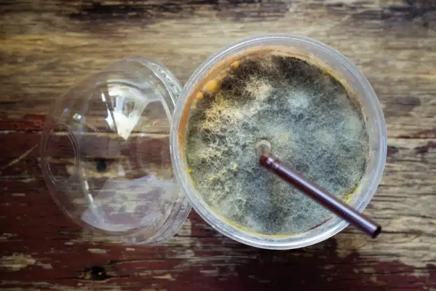 mold in glass of coffee