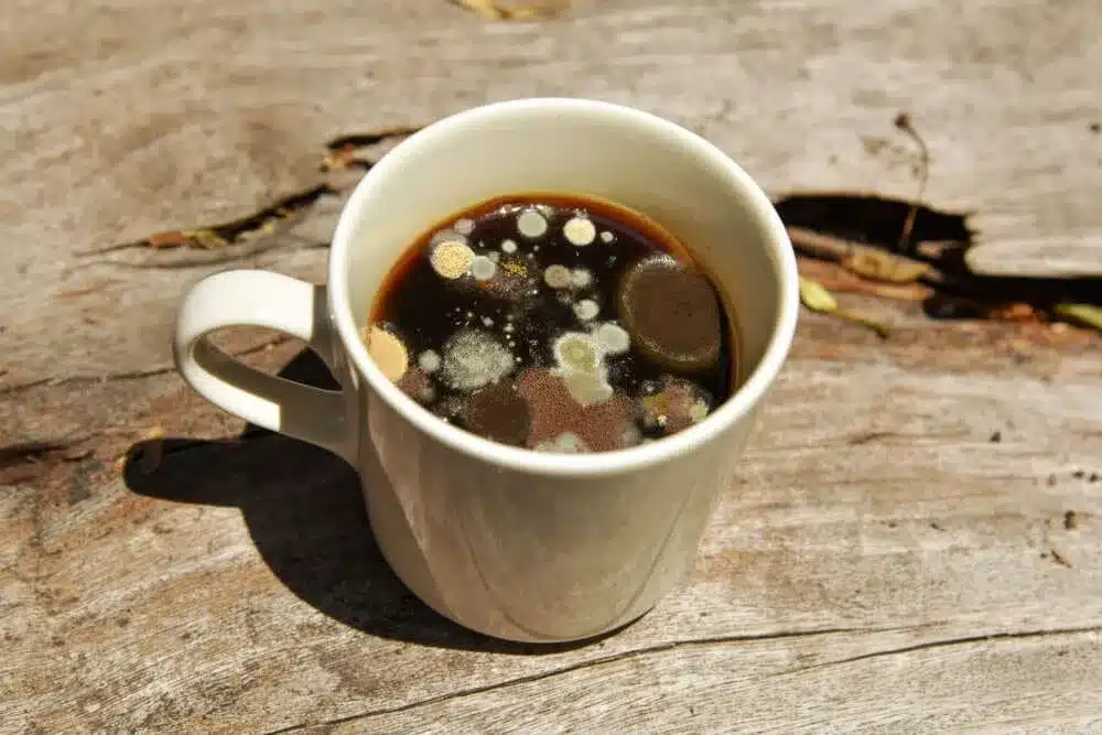 mycotoxcin in a cup of coffee