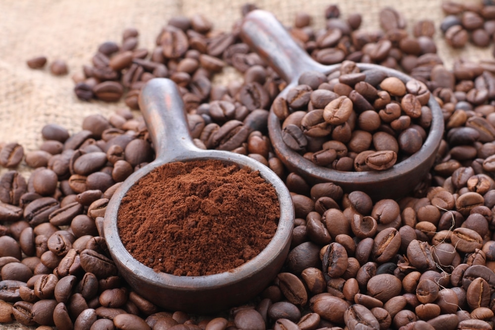 A Coffee Bean Is A Seed Of The Coffea Plant