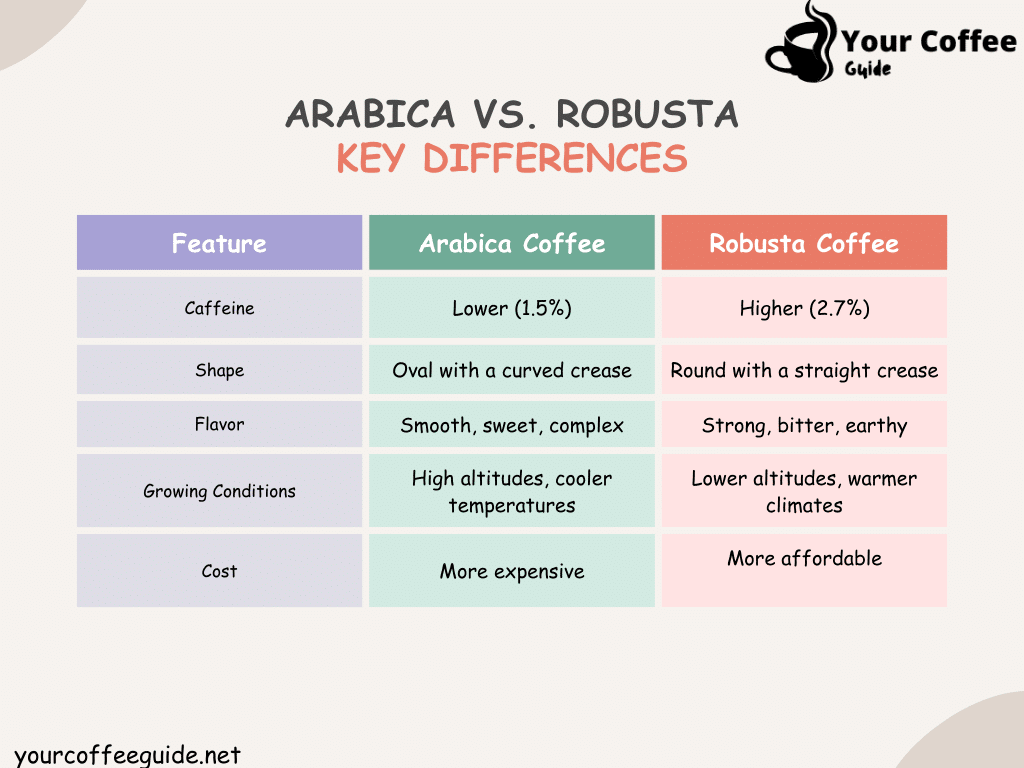 Arabica Coffee vs Robusta Coffee 