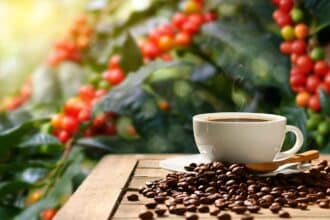 Cup Of Hot Coffee With Roasted Coffee Beans And Coffee