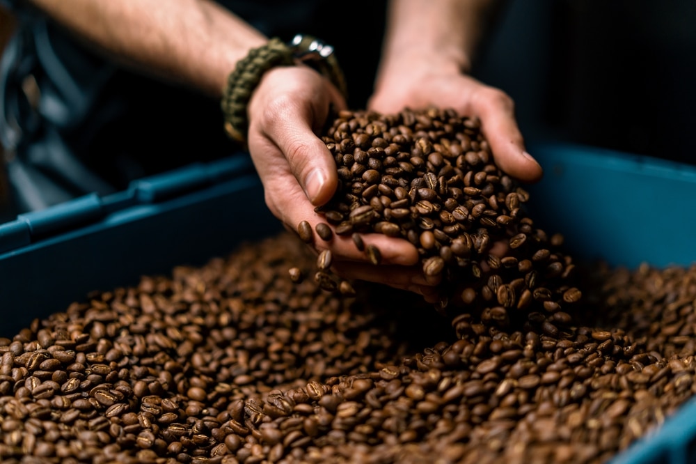 A view of a person holding coffee beans