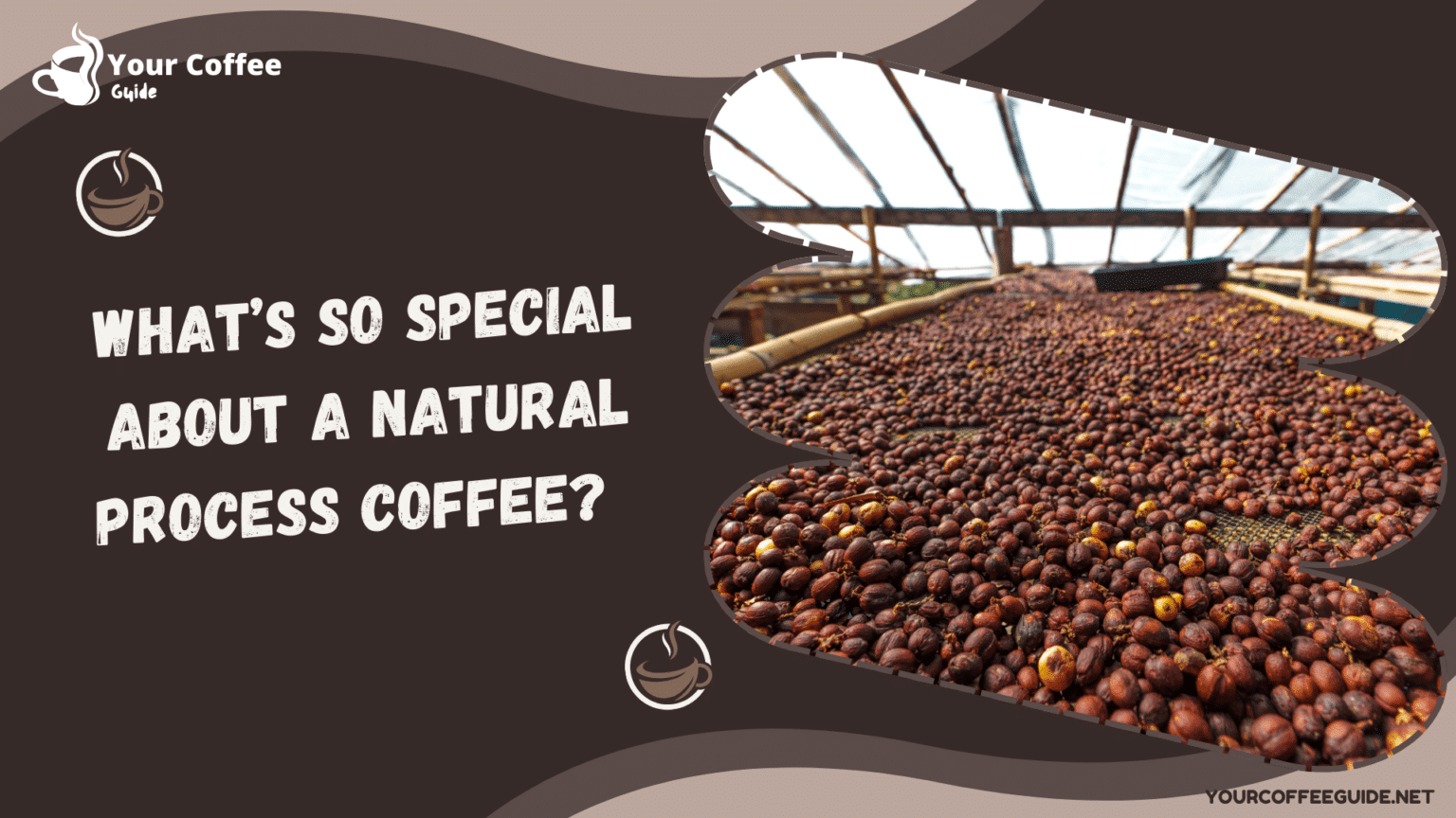 What is so good about a natural process coffee