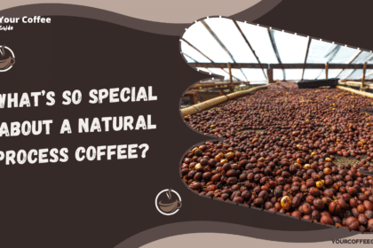 What is so good about a natural process coffee